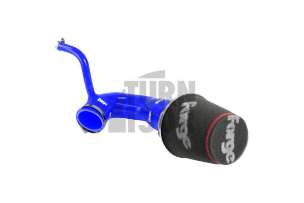 SEAT Ibiza / Skoda Fabia / VW Polo 1.2TSI-1.4GT 2015- Forge Motorsport Intake