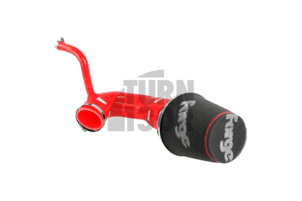 SEAT Ibiza / Skoda Fabia / VW Polo 1.2TSI-1.4GT 2015- Forge Motorsport Intake