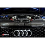 Eventuri Carbon Fiber Slam Panel Cover for Audi RS4 B8 Eventuri Carbon Fiber Slam Panel Cover for Audi RS4 B8