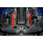Eventuri Carbon Fiber Slam Panel Cover for Audi RS4 B8 Eventuri Carbon Fiber Slam Panel Cover for Audi RS4 B8