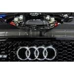 Eventuri Carbon Fiber Slam Panel Cover for Audi RS5 B8 Eventuri Carbon Fiber Slam Panel Cover for Audi RS5 B8