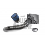 Dinan Carbon Intake for BMW 135i/235i/335i/435i/M2 N55 F Series Dinan Carbon Intake for BMW 135i/235i/335i/435i/M2 N55 F Series