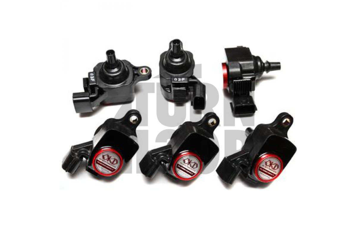 Nissan R35 GTR Okada Projects Plasma Ignition Coils Nissan R35 GTR Okada Projects Plasma Ignition Coils