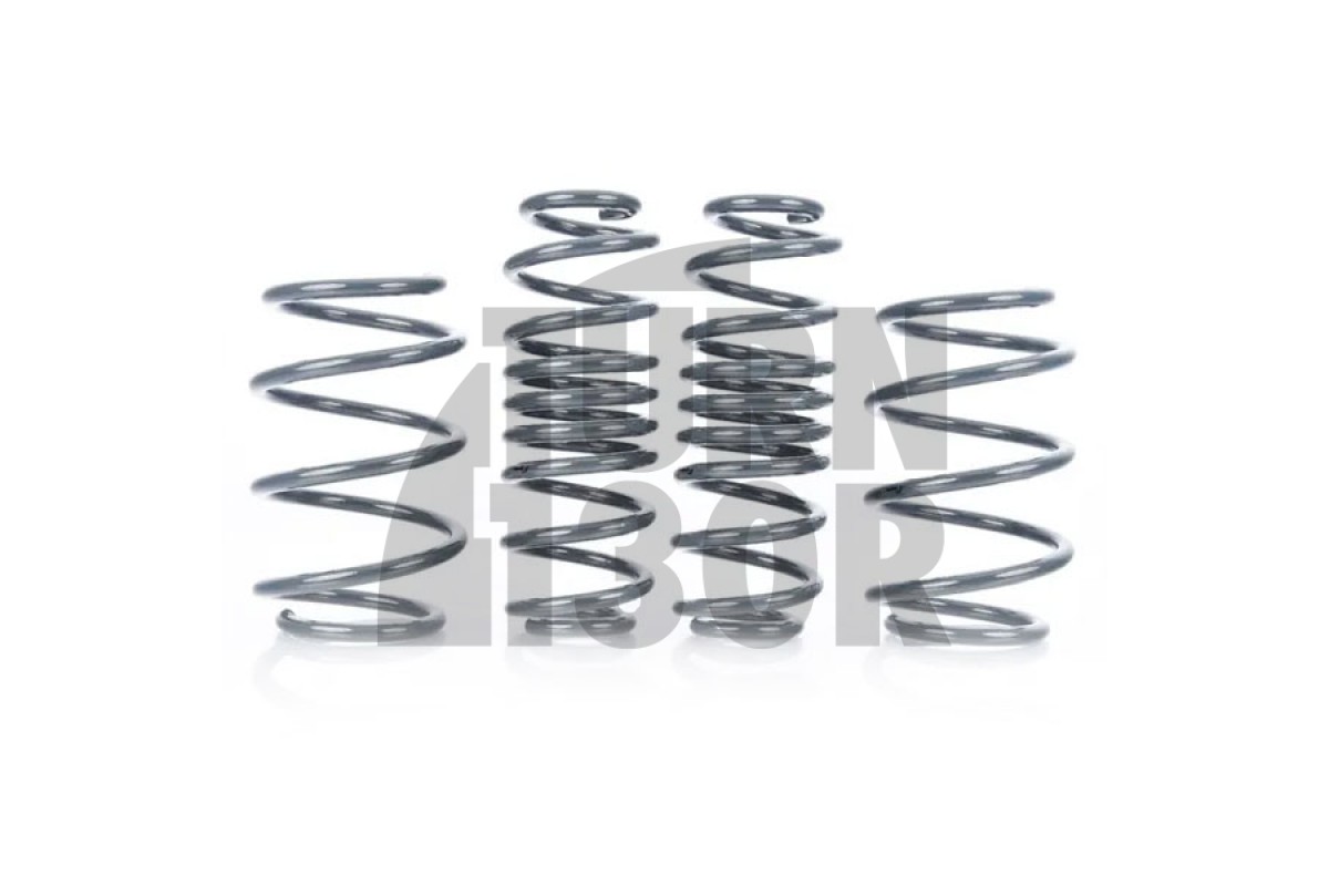 Racingline Sport Springs Golf 7 R SW / Leon 3 Cupra ST / Octavia VRS SW Racingline Sport Springs Golf 7 R SW / Leon 3 Cupra ST / Octavia VRS SW