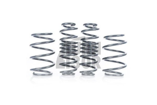 Racingline Sport Springs Golf 7 R SW / Leon 3 Cupra ST / Octavia VRS SW 