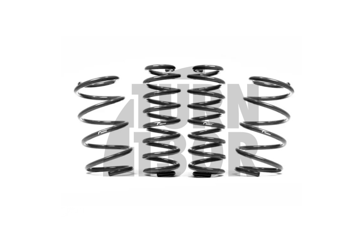 Racingline -30mm Sport Springs Polo AW GTI Racingline -30mm Sport Springs Polo AW GTI