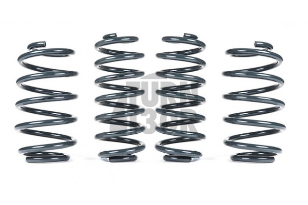 Racingline Sport Springs Skoda Octavia NX vRS 