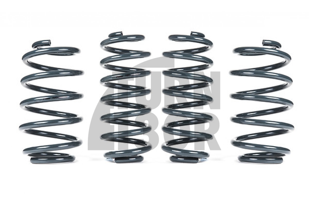 Racingline -25mm Sport Springs UP GTI Racingline -25mm Sport Springs UP GTI