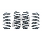 Racingline -25mm Sport Springs UP GTI Racingline -25mm Sport Springs UP GTI