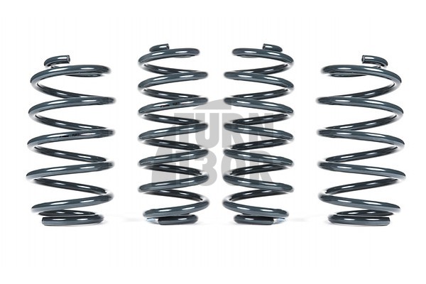 Racingline -25mm Sport Springs UP GTI 