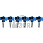 blue coil pack for Audi RS4 / S4 B5 and S4 / S5 B8 Alpha Competition blue coil pack for Audi RS4 / S4 B5 and S4 / S5 B8 Alpha Competition