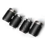 Akrapovic Evolution Line Titanium Exhaust for BMW M2 Comp F87 Akrapovic Evolution Line Titanium Exhaust for BMW M2 Comp F87