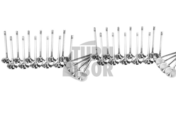BMW 140i / 240i / 340i / 440i and Toyota Supra GR 3.0 A90 MK5 B58 Ferrea Competition Plus Engine Valves x24