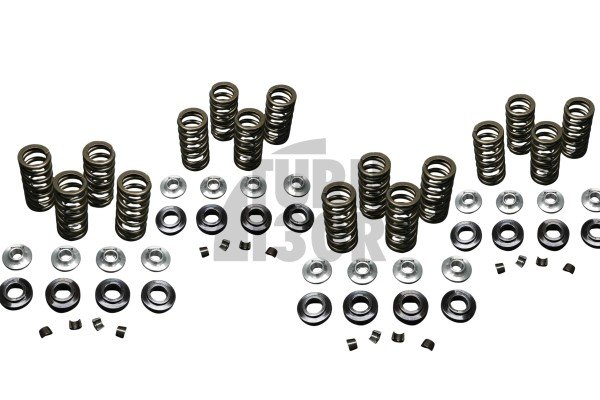Honda Civic Type R FK2 / FK8 / FL5 Ferrea Valve Springs and Retainers Kit
