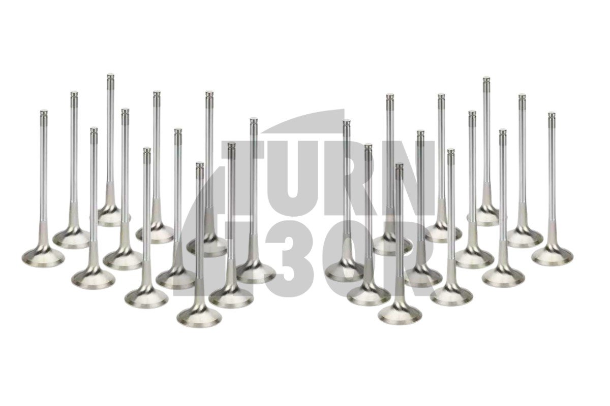 Supertech Engine Valves x24 BMW 135i E8x / 1M / 335i E9x N54 Supertech Engine Valves x24 BMW 135i E8x / 1M / 335i E9x N54