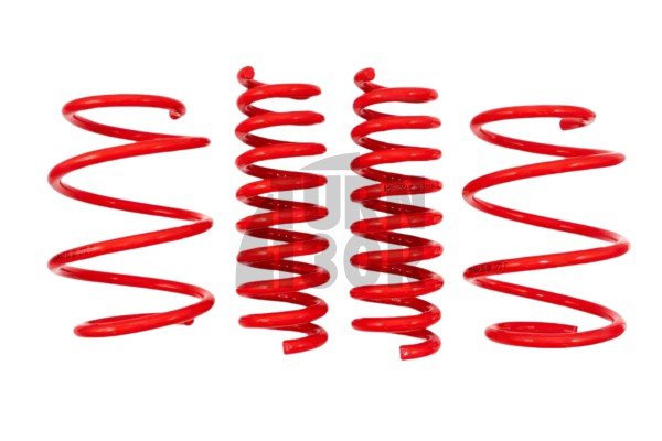 V-maxx Lowering Springs Suzuki Swift Sport ZC33S -30mm
