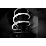Golf 7 R Leyo Sport Springs Golf 7 R Leyo Sport Springs
