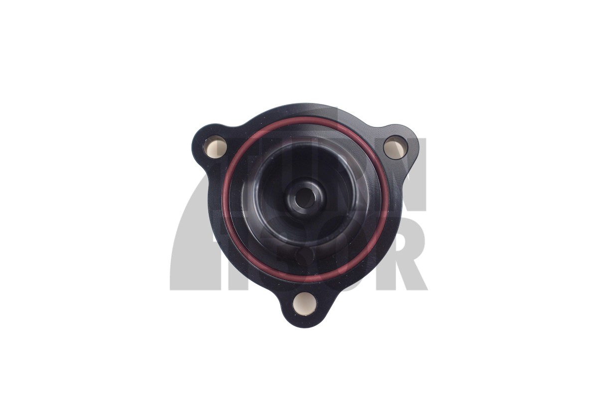 GFB Diverter Valve for DS3 1.6 THP GFB Diverter Valve for DS3 1.6 THP