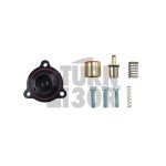 GFB Diverter Valve  for Ford Fiesta ST MK8