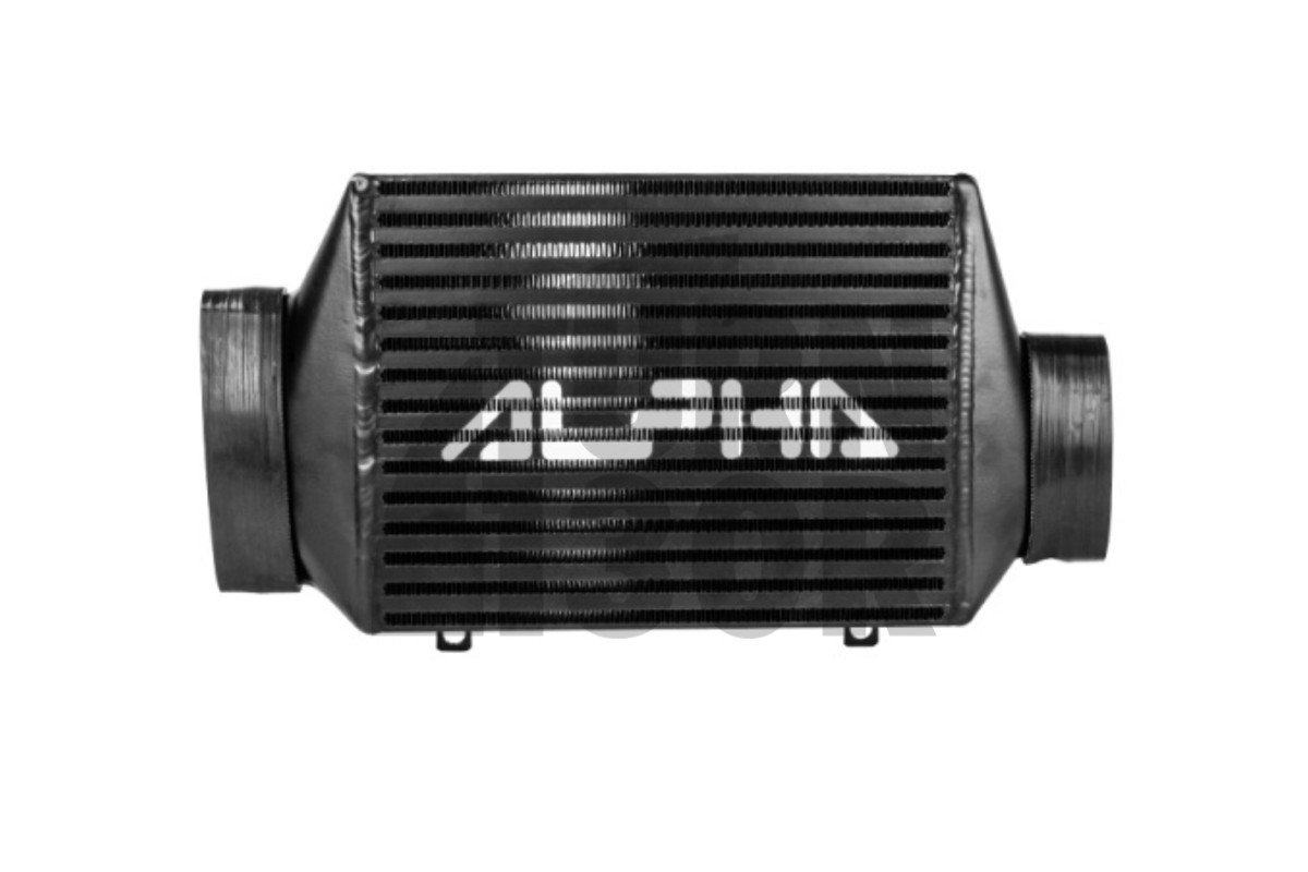 Alpha Competition Intercooler Mini Cooper S R53 Alpha Competition Intercooler Mini Cooper S R53