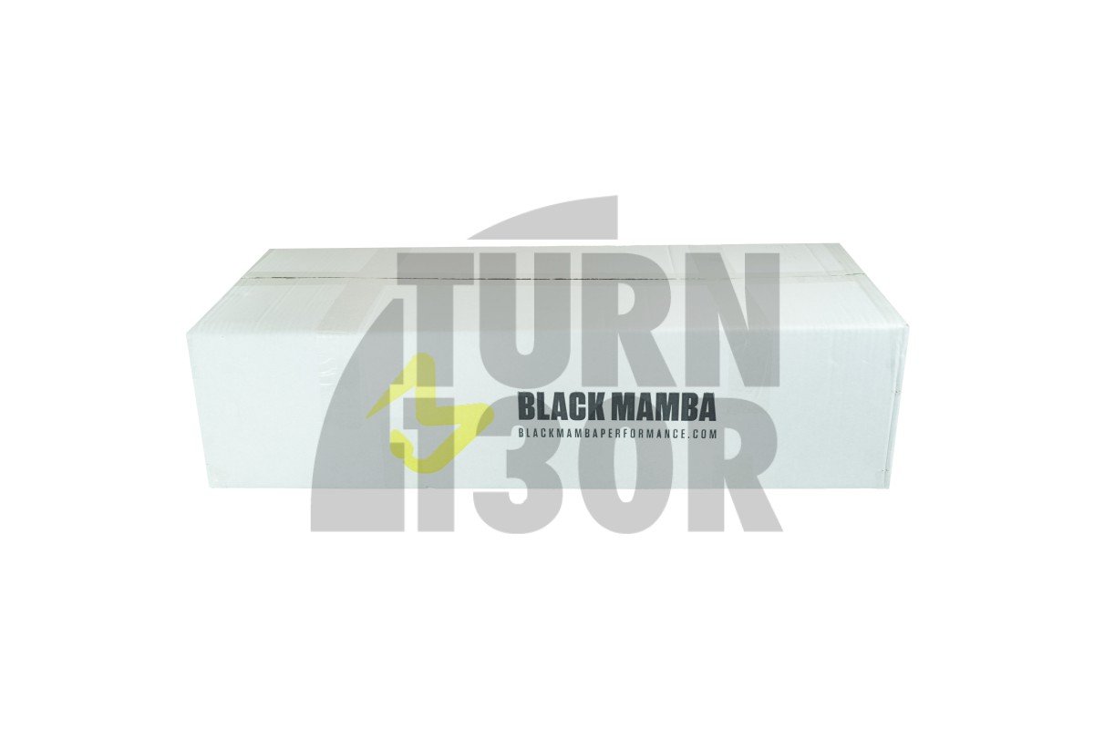 Black Mamba Turbo Intake for BMW M3 F80 / M4 F8x / M2 Comp F87 Black Mamba Turbo Intake for BMW M3 F80 / M4 F8x / M2 Comp F87
