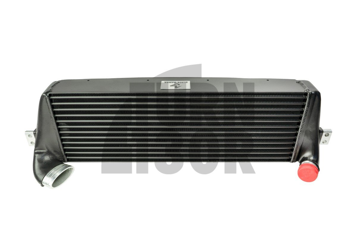 Black Mamba ABARTH 595 / 695 Intercooler Kit Black Mamba ABARTH 595 / 695 Intercooler Kit