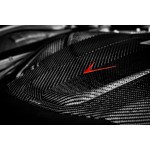 Eventuri Carbon Fiber Intake System for Mercedes AMG GT / GTS / GTC / GTR Eventuri Carbon Fiber Intake System for Mercedes AMG GT / GTS / GTC / GTR