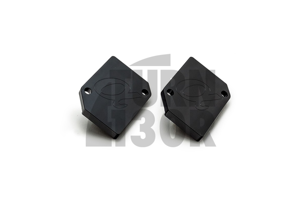 AMS PerformanceMaf Block-Off Plates Nissan R35 GTR AMS PerformanceMaf Block-Off Plates Nissan R35 GTR