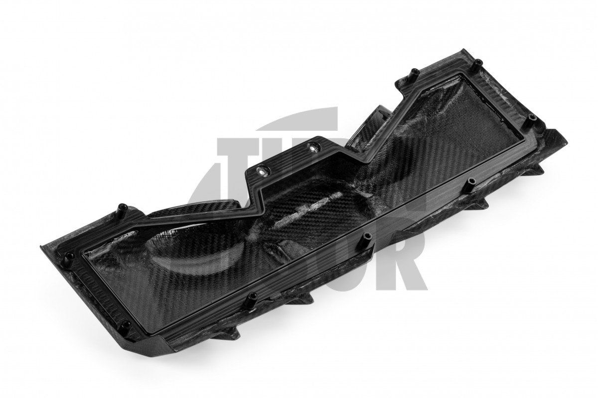 Carbon Intake for Audi RS6 C8 and RS7 C8 APR Carbon Intake for Audi RS6 C8 and RS7 C8 APR