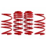 APRLowering Springs Golf 8 R APRLowering Springs Golf 8 R