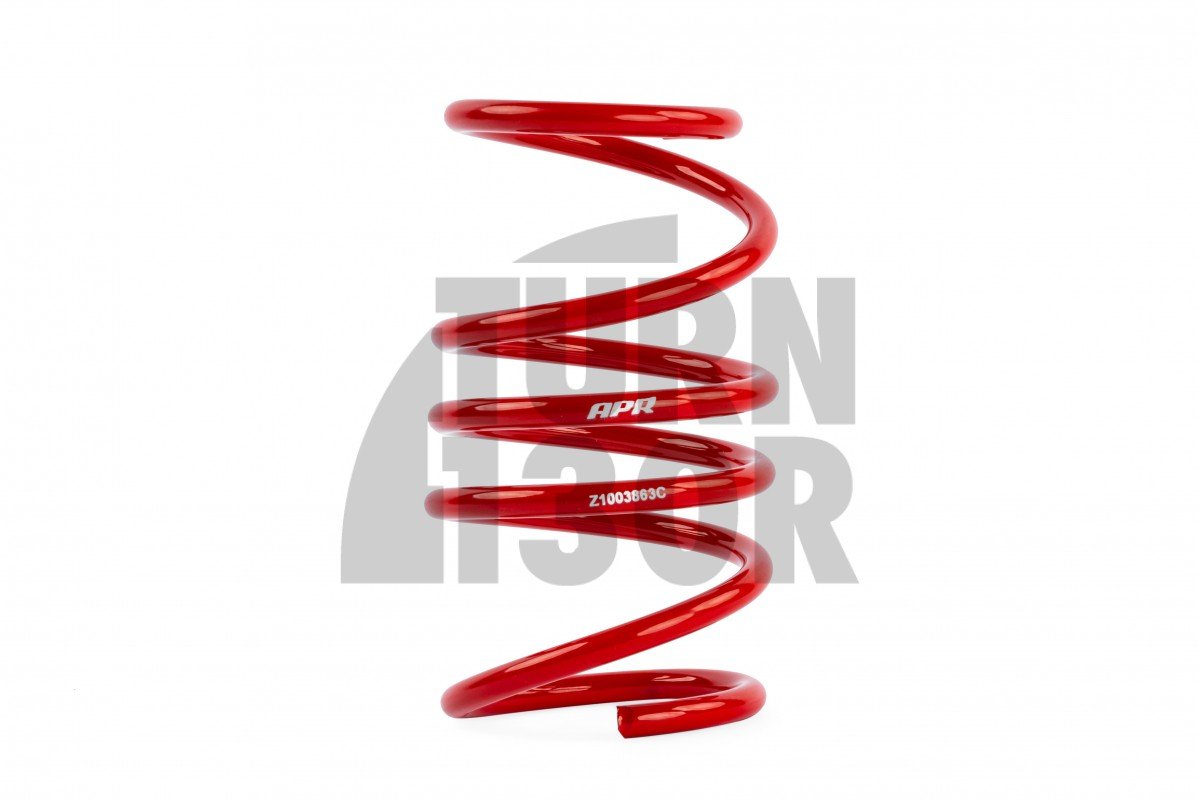 APRLowering Springs Golf 8 R APRLowering Springs Golf 8 R