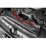 Armaspeed Carbon Fiber Air Intake Audi RS6 C8 / RS7 C8 Armaspeed Carbon Fiber Air Intake Audi RS6 C8 / RS7 C8