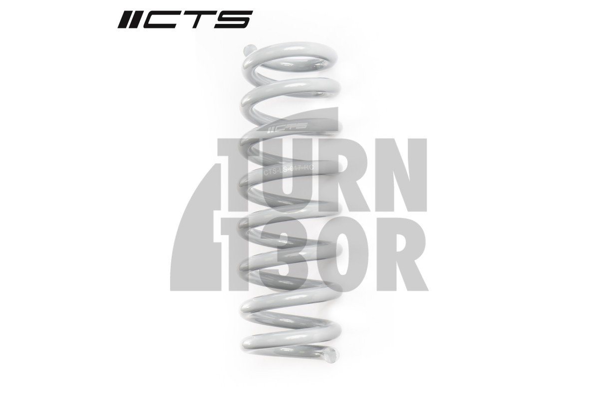CTS Turbo -40mm Sport Springs for BMW 335i, 340i, 435i, and 440i F3x xDrive CTS Turbo -40mm Sport Springs for BMW 335i, 340i, 435i, and 440i F3x xDrive